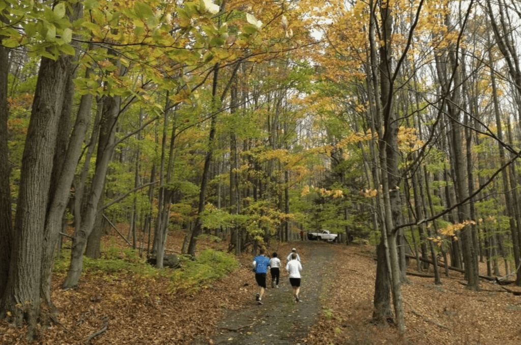 Lacawac Sanctuary